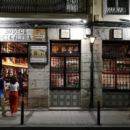 Casa Palmera Apartmán