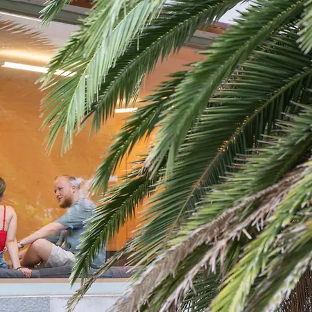 Casa Palmera דירה *